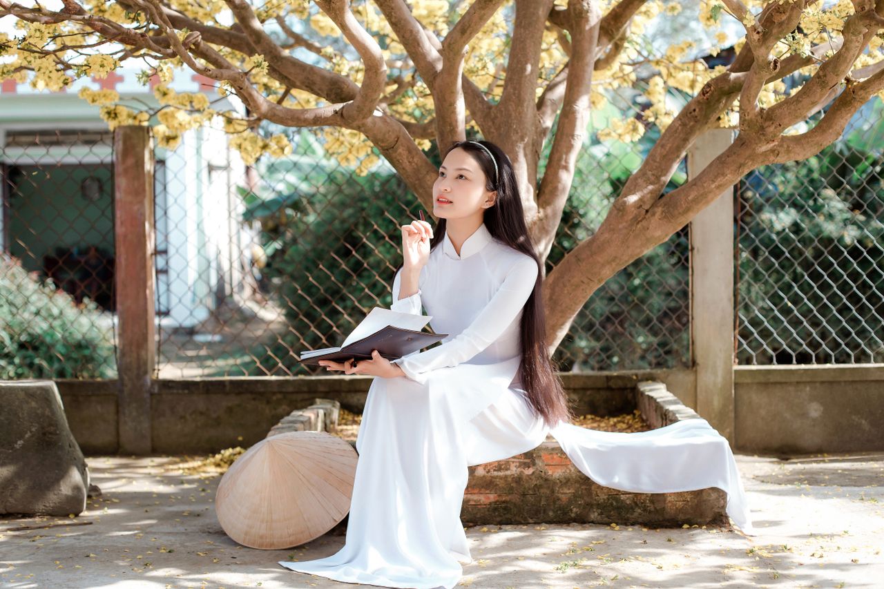 Vietnamese woman in ao dai reading under flowering tree Hoi An